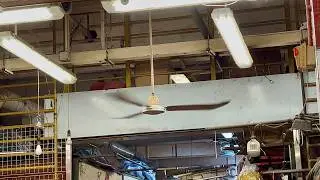 Many SMC K56, K48 industrial ceiling fans and various wall and orbit fans at a public market