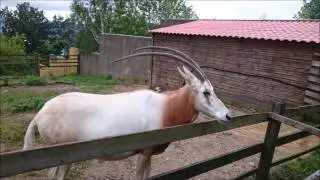 Quedada Club Naturalista VigoZoo 4-5 Junio