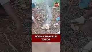 Odisha Weather Update: Fog and Frost in Simlipal, Mayurbhanj District | #odisha #weather #fog