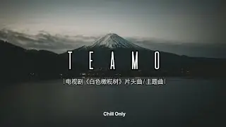 TE AMO (电视剧《白色橄榄树》片头曲/主题曲)