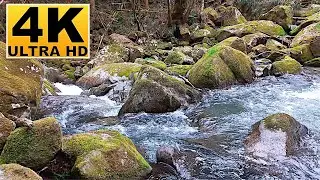 4K ULTRA HD Relaxing Nature Sound　ASMR, Mental and physical recovery, sound sleep, healing