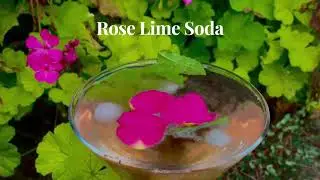 Rose Lime soda 🌹🍋🥂 / Homemade & organic refreshing Rose Lime soda