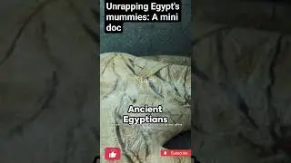 unrapping Egypt mummies: A mini doc #shortvideo #ytshorts #amazingfacts #ancientegypt #mummy #viral