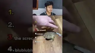 Reaction video: ranking frog   #pepole #meme #funny #ranking #cartoon #game #streaming