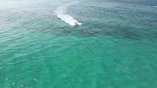 ￼ Mozambique Paindane￼