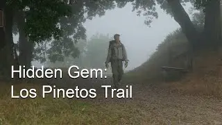 Los Pinetos Trail, San Gabriel Mountains