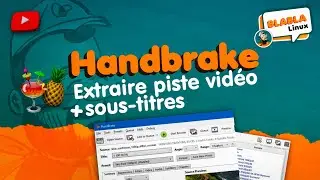 Handbrake - Extraire piste vidéo avec sous titres