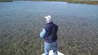 Mosquito Lagoon Fly Fishing Guide Cocoa Beach still going in 2024
