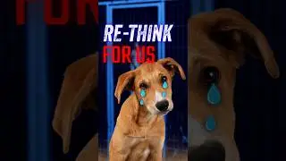 🚨 India&rsquo;s Real Danger: Not Dogs, But Our Priorities! 🐕🇮🇳 #dogs #straydogs #delhi #sc