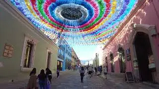 Wonderful Oaxaca: Mexican City of Murals - A Walking Tour
