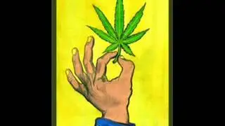 2013 Global Marijuana March - CONNECTICUT