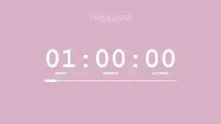 ⏰ 1 Hour Timer /  Pastel Pink Screen 🌸 / Countdown + Progress Bar