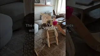 Папа и дочка: обязанности на День святого Валентина 💝 Готовим подарок для нашей дочери! #деньсвят...