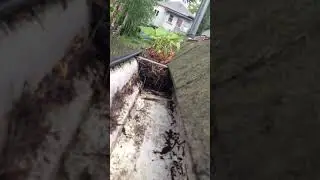 Gutter Vacuuming Time Lapse