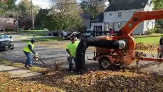 ODB LCT600 Leaf Vacuum Picking Up Leaves on a Chilly November Afternoon