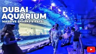 Dubai Aquarium & Underwater  Zoo In Dubai Mall || 4k Tour Vlog || Dubai Full Vlog 