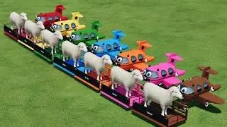 COLOURS OF AEROPLAIN SHEEP TRANSPORT WITH TROLLY IN FS22!!