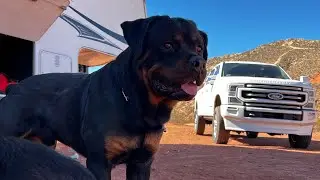Sand Hollow State Park, Utah Camping Trip
