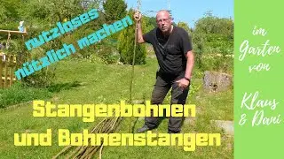 Stangenbohnen und Bohnenstangen / nutzloses im Garten nützlich machen / unsere Bohnensorten