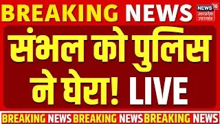Sambhal Hinsa Live Update: कौन है संभल हिंसा का मास्टरमाइंड शारिक साठा? बड़ा एक्शन |Breaking |CM Yogi