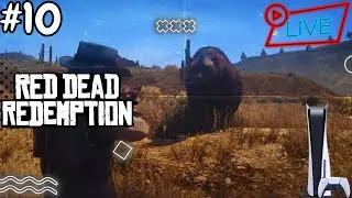 🔴#166 | Red Dead Redemption 100% Completion (Part 10) | Temenin Aku 100%in Ya! | Indonesia PS5