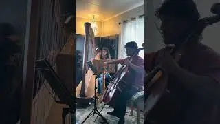 Harpist and cellist cover &ldquo;The Christmas Song&rdquo; #harp #harpcover #harpist #harpplayer #cello