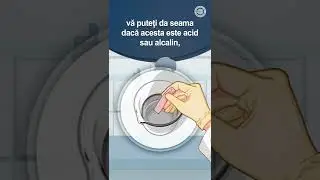 H&acirc;rtia de turnesol și lumea invizibilă #shorts