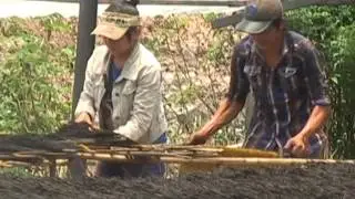 Sản xuất nhang xuất khẩu - maker incense export