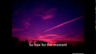 Free by The Martinis lyric video