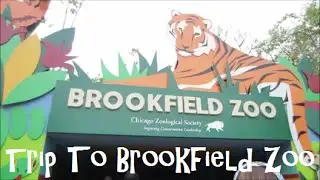 Trip To Brookfield Zoo ~ Vlog 5/14/15