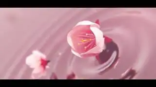 Flower Logo Reveal 1080