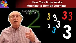 Machine Learning vs Human Learning: They&rsquo;re Not the Same