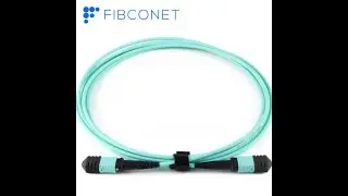 12f MPO/MTP Male/Female Multimode Om4 Fiber Optic Trunk Cable