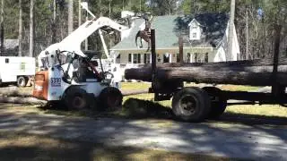 Loading logs with Bobcat  S300 and grapple attachment - Tree Service in Raleigh, Wake Forest, NC