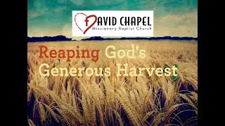 David Chapel Missionary Baptist Church - November 23, 2025
