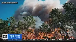 NJ investigators: Deadly plane crash started wildfire in Lacey Township