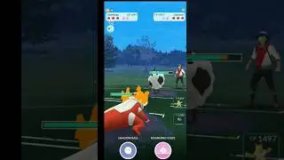 New Skeledirge Got Fire in My Team #gobattleleague #pok&eacute;mon