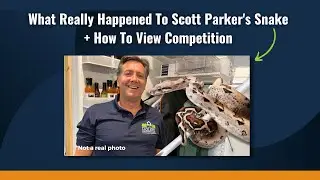 What Really Happened To Scott Parker's Snake (+ How To View Competition)