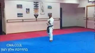 איאן שודאן