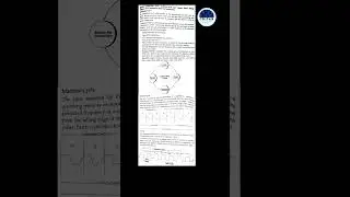 Explain instruction cycle, machine cycle and T-states | CSITAN