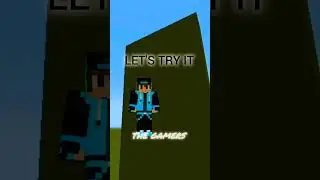 Hidden Block Swapper Fail! 🧱🤫 #shorts