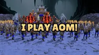 Idk if you heard, but we play aom