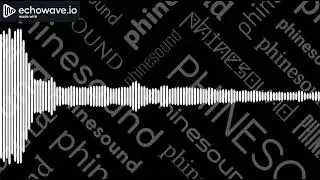 H e l t z e r    S e l t z e r    #phinesound