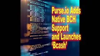 Purse io Adds Native BCH Support and Launches &lsquo;Bcash&rsquo;