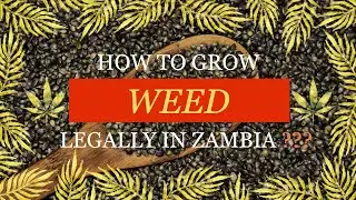 GROW CANNABIS LEGALLY