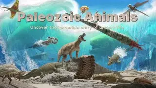 Paleozoic Animals 3D Cartoon! Science For Kids | STEM Home Learning