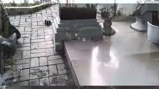 Hasil Foto dan Video dari Kamera Kitbeez KC2.