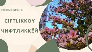 Прогулка по району Чифтликкей - Ciftlikkoy