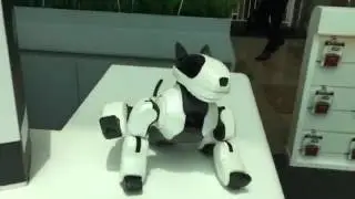 Robotic cute and frinedly pet at Innovators in Dubai Festival City