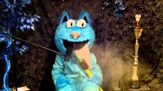 Big Blue's: Ecocha Coal Reveiw